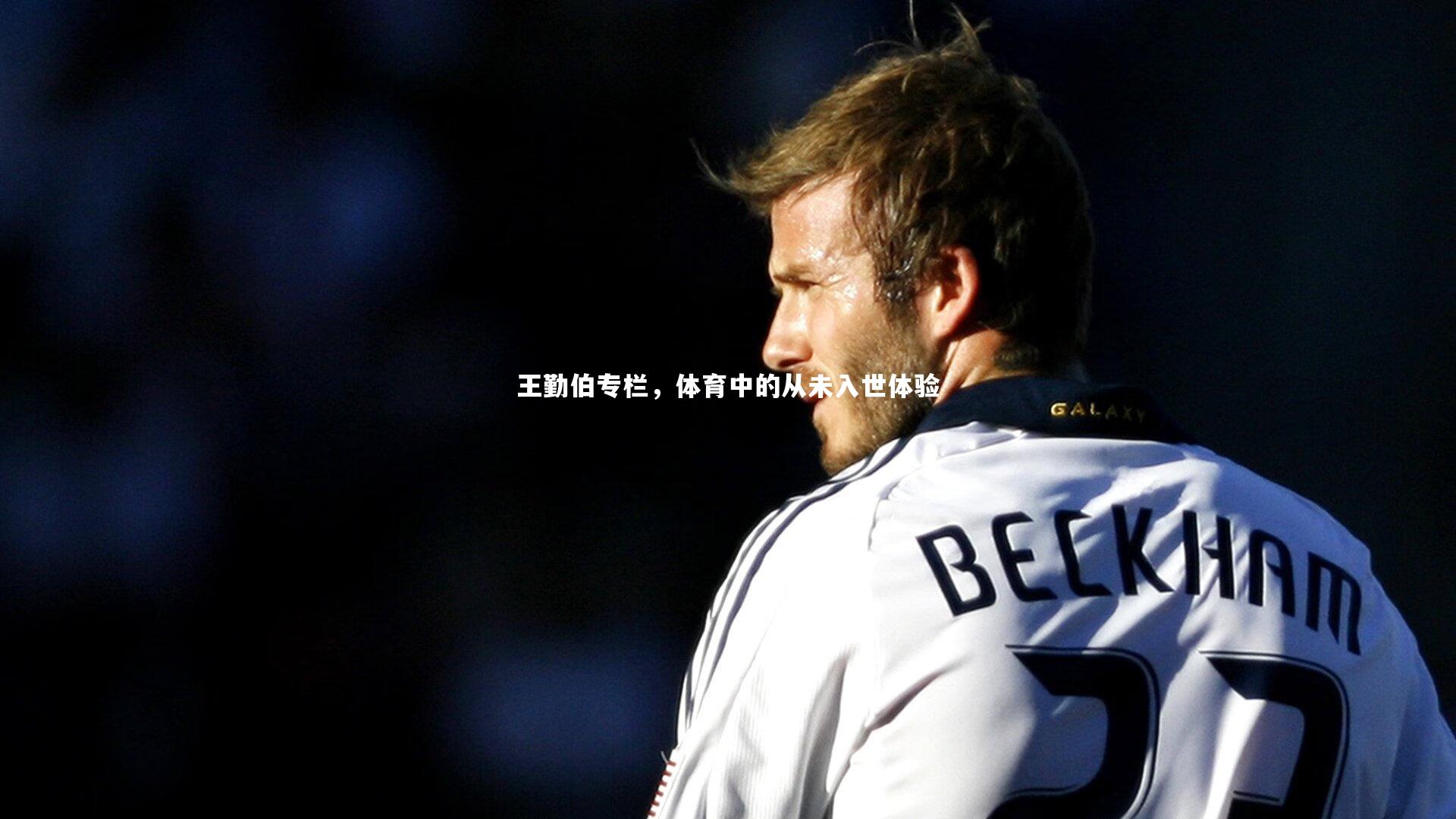 王勤伯专栏,体育中的从未入世体验